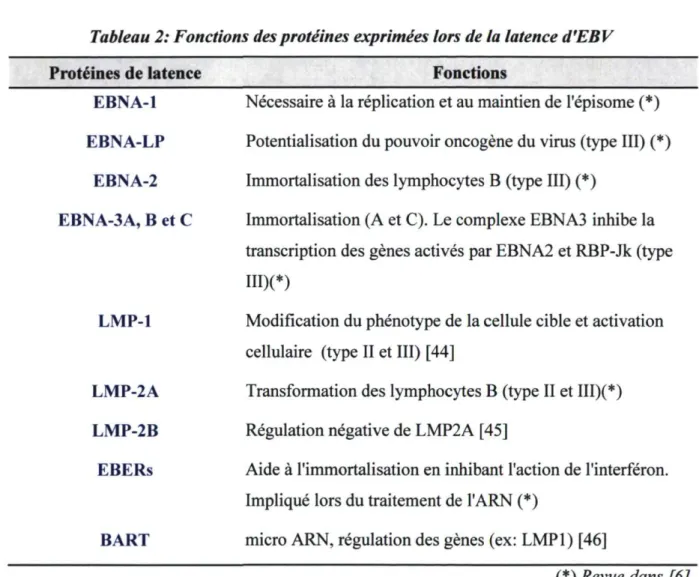 Tableau 2: Fonctions des protéines exprimées lors de la latence d'EBV 