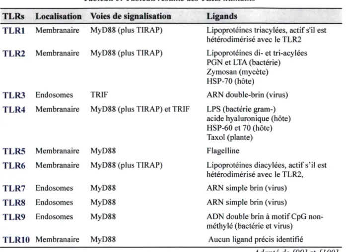Tableau 5: Tableau résumé des TLRs humains  TLRs Localisation Voies de signalisation  Ligands  TLR1 Membranaire MyD88 (plus TIRAP) 