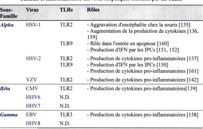 Tableau 6: Reconnaissance des virus herpétiques humains par les TLRs. 