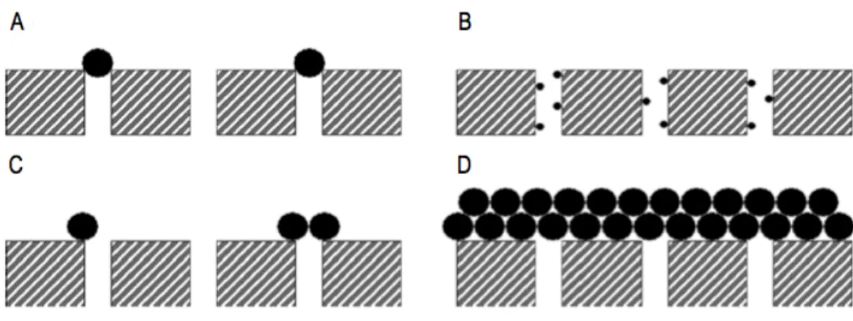 Figure 2.5 : Mécanismes d’encrassement des membranes poreuses. A) Blocage complet des pores B)  Blocage interne des pores C) Blocage partiel des pores D) Formation d’une couche de particules / gâteau [25] 