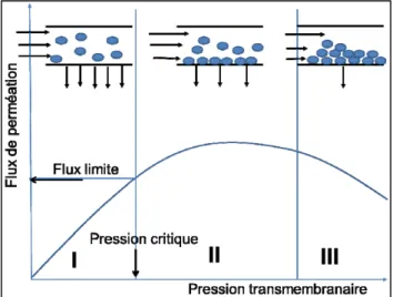 Figure 2.6 : Effet de la TMP sur le flux de perméation et sur l'encrassement [12] 