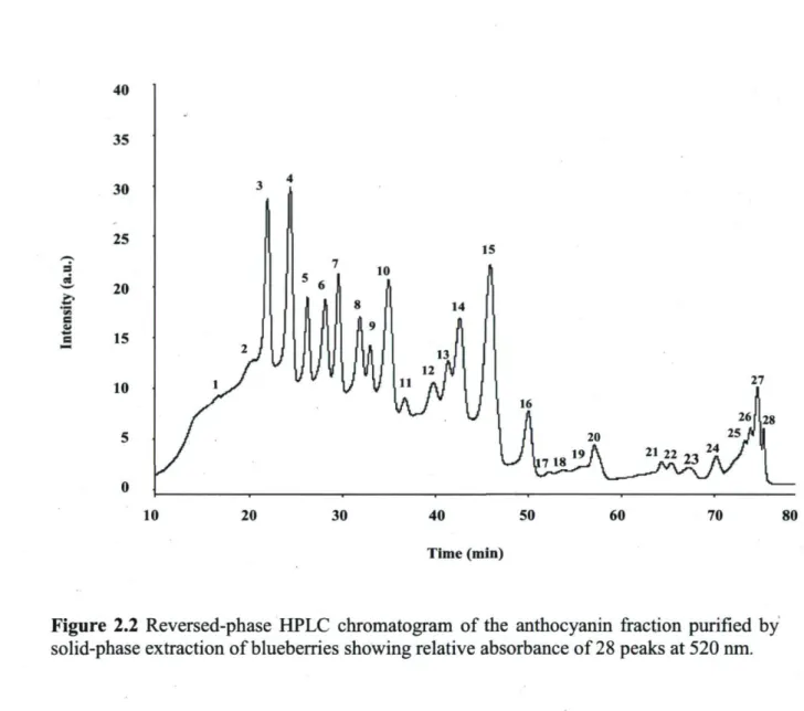 Figure 2.2 Reversed-phase HPLC chromatogram of the anthocyanin fraction purified by  solid-phase extraction of blueberries showing relative absorbance of 28 peaks at 520 nm