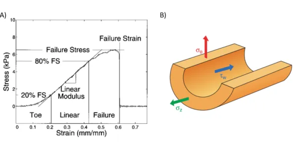 Figure 0.2: Stress and strain in blood vessels. (A) Representative stress-strain curve of a biological soft tissue showing the three distincts parts of the mechanical behavior