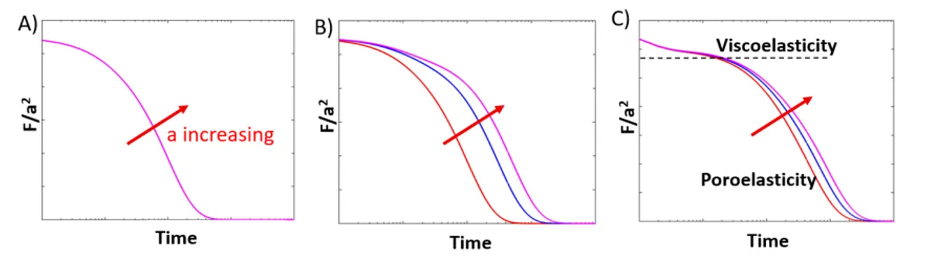 Figure 1.1: Schematic curves on separating viscoelasticity and poroelasticity of a gel