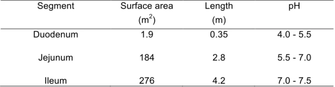 Table  1.  Segments  of  the  human  small  intestine  and  their  approximate  physical  and  biological  parameters