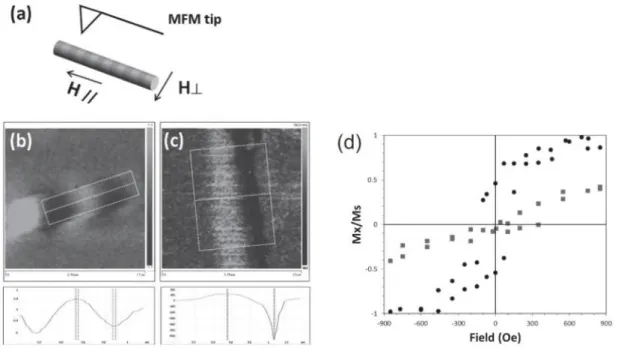 Figure 20 - (a) Schematic drawing of MFM measurement on a multilayered nanowire with parallel (460  Oe)/perpendicular fields (550 Oe)