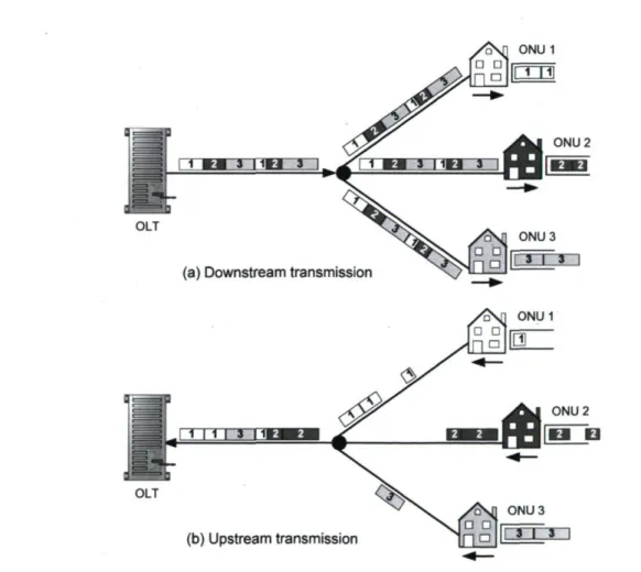 Figure 2.2. Traffic flow in PONs: (a) downstream, (b) upstream. 