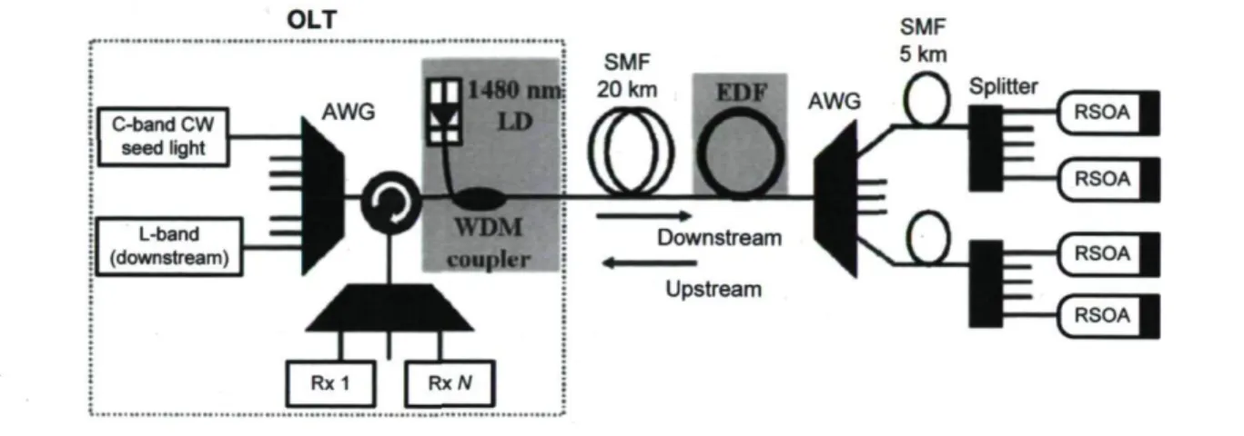 Figure 3.4. RSOA-based hybrid WDM/TDM PON with remotely pumped EDFA [83]. 