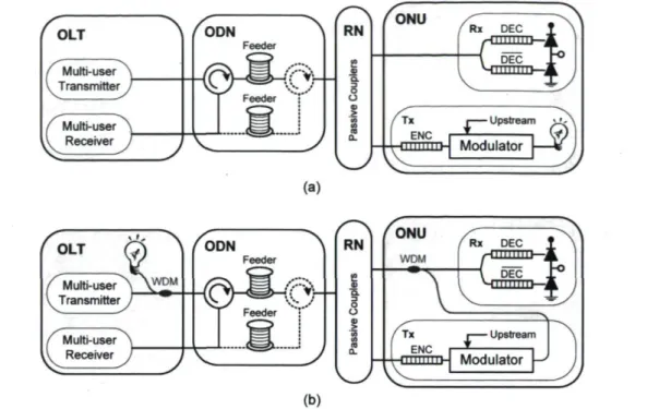 Figure 4.1. SAC-OCDMA PON physical architecture: (a) LS architecture, (b) CLS architecture