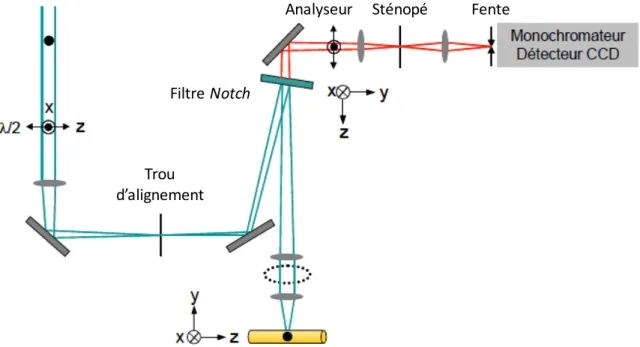 Figure 2.2 Configuration du spectromètre Raman. 