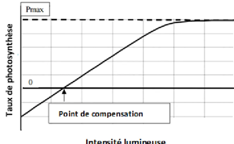 Figure  5.  Relation  entre  l’intensité  lumineuse  et  le  taux  de  photosynthèse  (Both  et  al.,  2002)