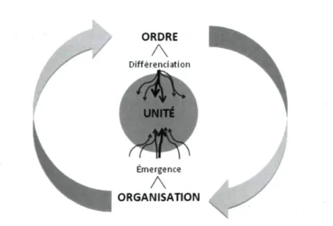 Figure 2 - Schématisation des rapports entre ordres et organisations en fonction de l'émergence et  de la différenciation 