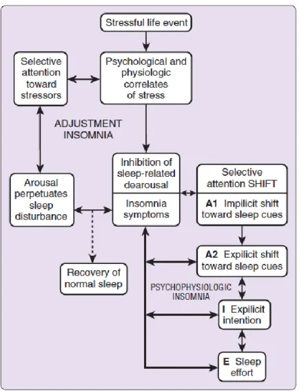 Figure 3. Modèle d’inhibition psychobiologique 