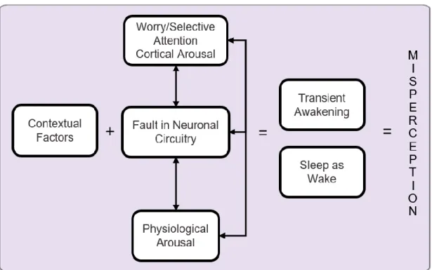 Figure 5. Schéma explicatif de la mésestimation 