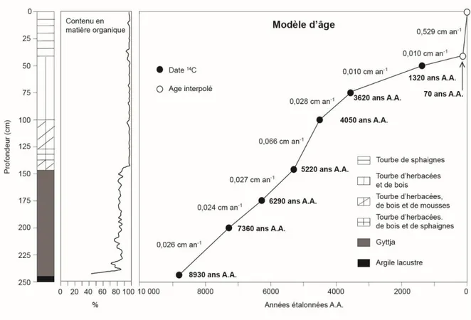 Figure 10: Stratigraphie, contenu en matière organique et courbe âge-profondeur de la carotte sédimentaire de la  tourbière Ignis
