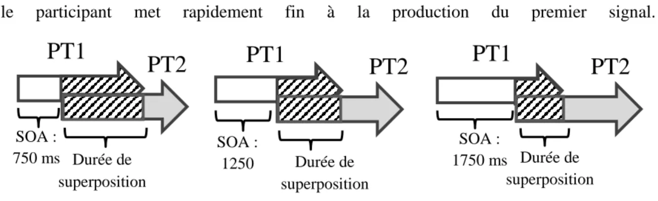 Figure 2. Structure des essais expérimentaux en fonction du SOA. 