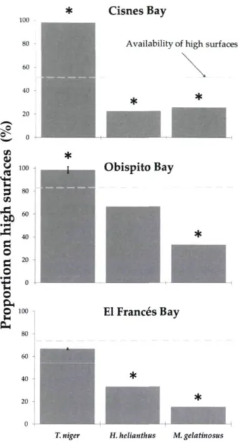 Figure 3.1. Proportion (%) of the sea urchin Tetrapygus niger and the predatory sea stars  Heliaster helianthus and Meyenaster gelatinosus on high and low surfaces relative to the  availability of these surfaces at Obispito, Cisnes and El Frances Bays