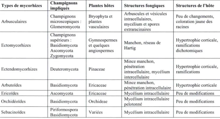 Tableau 1.1: Les différents types de mycorhizes. (Tableau modifié de Fortin et al. (2008))