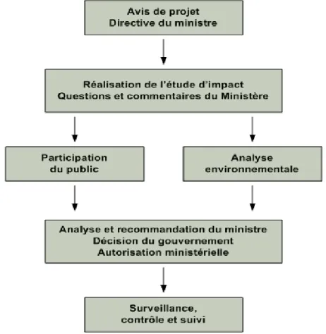 Figure 1. Déroulement de l'évaluation environnementale 