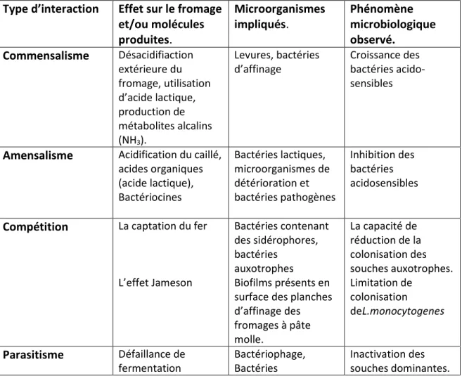 Tableau 2: Inventaire des interactions microbiennes dans le fromage (Irlinger et Mounier,  2009) 