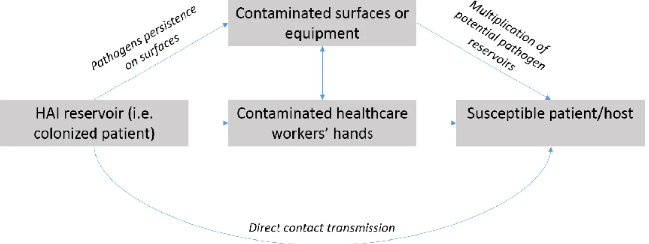 Figure  1.3:  The  multiplication  of  pathogen  reservoirs  and  infection  transmission  routes  due  to  contaminated surfaces (adapted from [27])