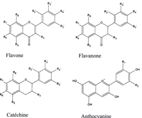 Figure 6 : Structure moléculaire des classes principales des flavonoïdes (tirée et adaptée de  Nijveldt  e t a l , 2001)