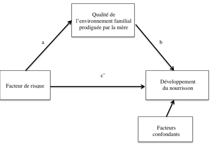 Figure 2. Modèle d’analyse représentant le lien direct et indirect. 