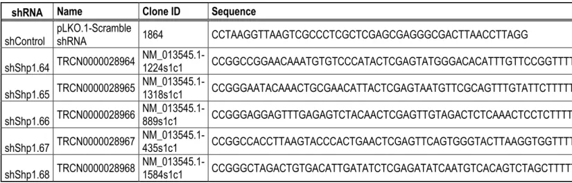 Table 1. shRNA sequences 