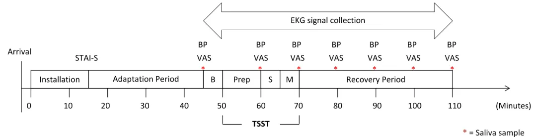 Figure 3. 1 Experimental protocol for the Trier Social Stress Test (TSST)  