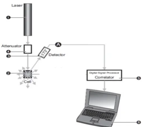 Figure 1.9: Configuration du Zetasizer Nano ZS (Instruments, 2004) 