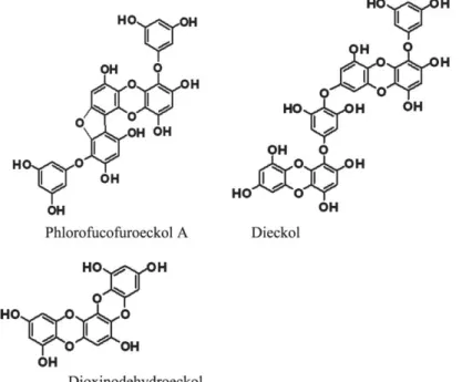 Figure 3. Structures de phlorofucofuroeckol A, dieckol et dioxinodehydroeckol  isolés d’Ecklonia stolonifera (Kim et al., 2009)