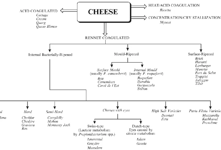 Figure 5. Variétés des fromages classés selon leur méthode de coagulation et  d'affinage et leur texture (tirée intégralement de Fox et al., 2000)