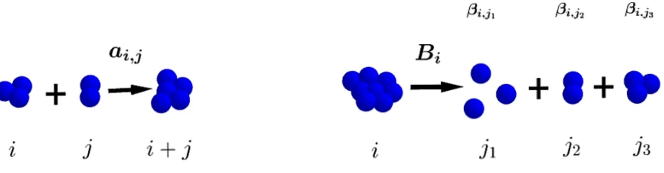 Figure 2.1 – An example of coagulation and fragmentation process. Here β 8,1 = 3, β 8,2 = 1, β 8,3 = 1 and β i,j = 0 for 4 ≤ j ≤ 7.