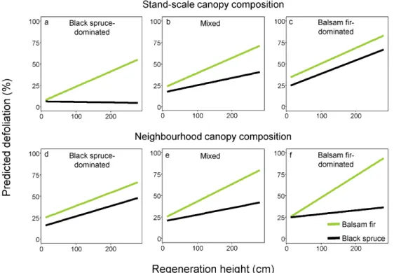 Figure 3 Predicted defoliation of advance regeneration according to height  and species of  regeneration  for  three  stand-scale  canopy  compositions  (top;  in  black  spruce-dominated  stands,  the  relative  basal  area  of  balsam  fir  was  less  th