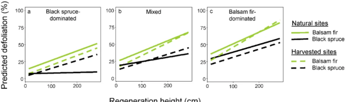 Figure 5  Predicted defoliation of advance regeneration in natural and harvested sites by  stem  height  for  the  two  studied  species  and  three  stand-scale  canopy  compositions  (for  black spruce-dominated stands relative basal area in balsam fir i