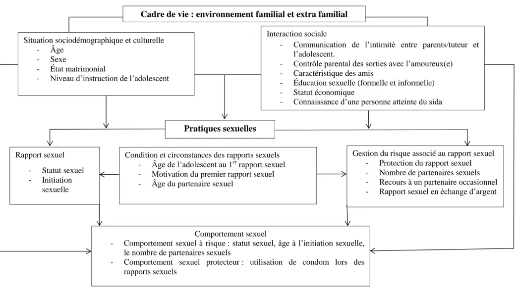 Figure 1 : Cadre conceptuel 