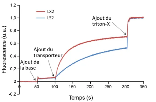 Figure 1.9. Comparaison de l’efficacité de transport des ions sodium pour les peptides LS2  et LX2 