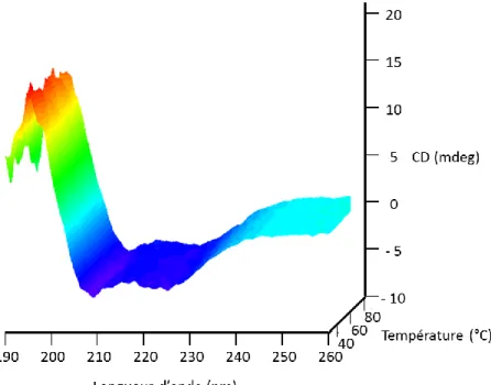 Figure 4.8. Spectres CD du LX2 en fonction de la température à un rapport molaire  peptide:lipide (P:L) de 1:50  