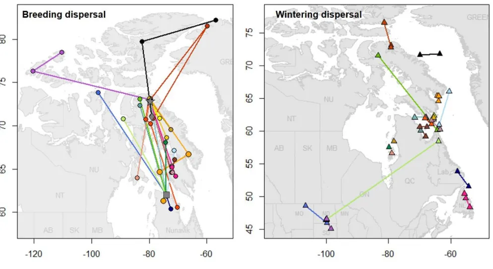 Figure 2.5. Summer (circles, LEFT PANEL) and winter (squares, RIGHT PANEL) centroids of locations for individual snowy owls tracked by satellite