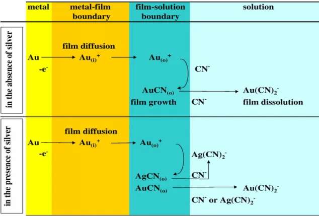 Figure  1.2.  Anodic  cyanidation  model  for  gold  in  the  absence  or  presence  of  dissolved  silver(I); boundary i: gold-film interface, boundary o: film-solution interface [10]