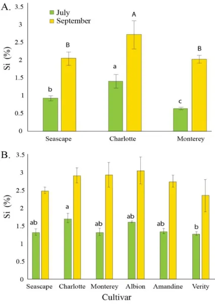 FIGURE 3. Percent average silicon (Si) content in leaves of strawberry plants  treated daily with a 1.7 mM Si solution in a high-tunnel commercial setting for two  different dates in summer 2014 (A) and in summer 2015 (B)