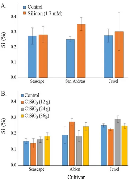 FIGURE 4. Percent average silicon (Si) content in leaves of strawberry plants  grown in field (A) treated twice a week with a 1.7 mM Si solution in summer 2015  (B) or fertilized with different concentrations of calcium silicate (wollastonite) in  summer 2