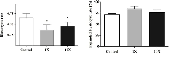 Figure 2.10.2 Blastocyst and expanded blastocyst rate of embryos exposed to 1X or 10X of BDCM  during preimplantation period