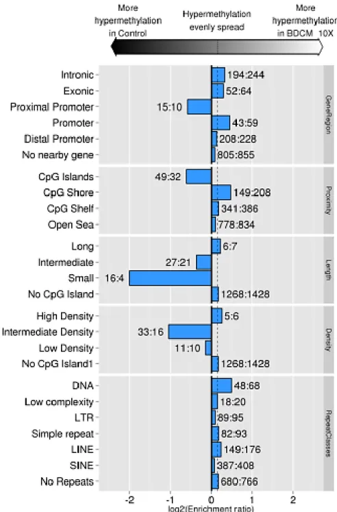 Figure 2.10.6 Enrichment ratios of hypermethylated elements within selected probes.  