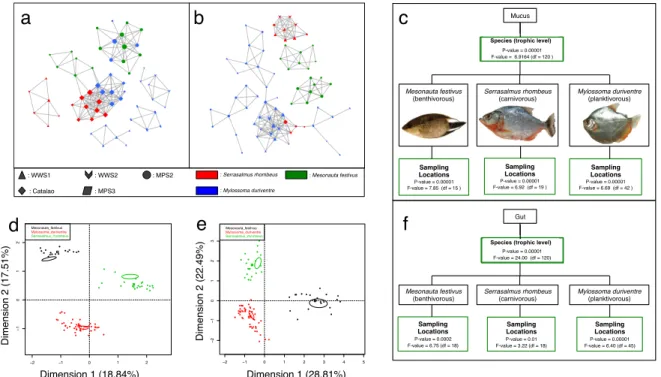 Figure  2:  (a,b)  Networks  of  samples  per  microbial  niche  per  species  and  per  sampling  location