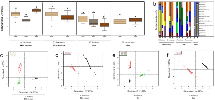 Figure  1:  Alpha  diversity  and  taxonomic  structure  is  related  to  the  water  color  and  the  microbial niche