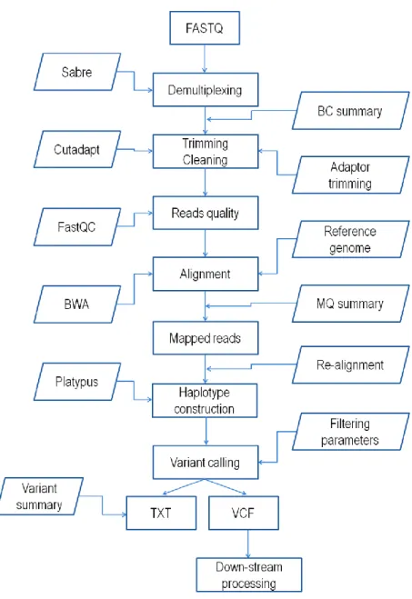 Figure  III.1.  Schematic  representation  of  the  analytical  steps  in  the  Fast -GBS  pipeline