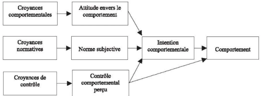 Figure 1. Modèle de la Théorie du comportement planifié selon Ajzen (1991). 