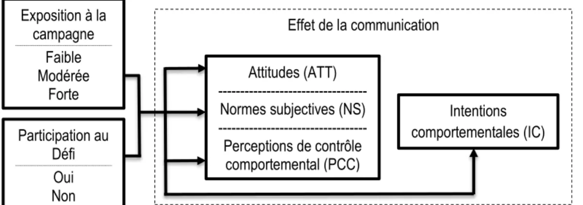 Figure 2. Modèle conceptuel intégrant l’exposition et la participation à une campagne à la TCP  adaptée 