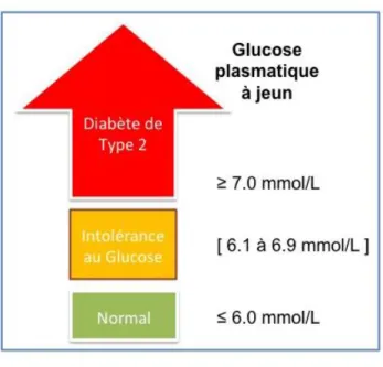 Figure 3 : Glucose sanguin et diabète de type 2 